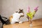 Bouquet of pink Spiraea douglasii flowers in vase and cat, selective focus on flowers