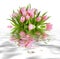 Bouquet of pink tulips isolated on white reflected in a water