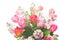 Bouquet of pink tulips with Matthiola incana