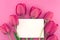 Bouquet of pink tulips on pink background with empty card