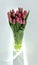 Bouquet of pink unopened tulips in a transparent vase on a white background.