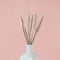 Bouquet of pink wheat spikelets in white vase