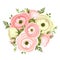 Bouquet of pink and white ranunculus flowers. Vector illustration.