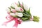 Bouquet of pink and white tulips with elegant ribbon on a white background.