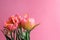 Bouquet of pink yellowish tulips