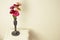 Bouquet of pink zinnia flowers in a vase isolated. Indoor. Copy space.