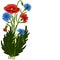 Bouquet poppies and cornflowers