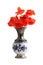 Bouquet of poppies in porcelain vase