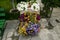 Bouquet of purple azaleas in pots