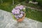 Bouquet of purple azaleas in pots