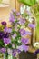 bouquet of purple canterbury bell flowers in a vase