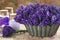 Bouquet of purple lavenders and spa products