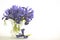 Bouquet of Purple Mini Iris Flowers Isolated, White Background