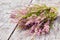 Bouquet of purple scotch heather bush Calluna vulgaris, erica, ling, also called Ling plant on moorland