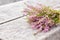 Bouquet of purple scotch heather bush Calluna vulgaris, erica, ling, also called Ling plant on moorland