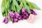 Bouquet of purple tulips and gift for different occasions or celebration on white boards