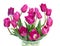Bouquet of purple tulips on white