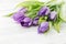 Bouquet of purpleviolet tulips on white rustic wooden backgrou