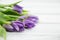 Bouquet of purpleviolet tulips on white wooden background