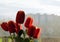 Bouquet of red artificial peonies against a dusty window