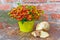 Bouquet of red flowers (Helenium) and giant snail (Achatina Retitsulata) on the old background