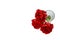 A bouquet of red flowers isolated on white background. Three red peony tulips. Flower gift concept. Concept of St. Valentine`s Da