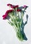 A bouquet of red  garden  carnation flowers  lies on white paper