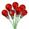 Bouquet of red light bulbs on green wires