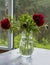 A bouquet of red peonies in a glass vase on a green background. A bright bouquet of flowers to lift your mood.