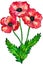 Bouquet of red poppies. Colorful flowers. Watercolor hand drawn illustration isolated on white background