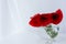 A bouquet of red poppies on the table in a glass vase. Still life with wild flowers in the home interior