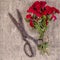 Bouquet of Red Roses and Old Rusty Scissors on on rustic jute background