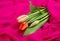 A bouquet of red tulips on a background of red soft thin fabric lined