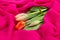 A bouquet of red tulips on a background of red soft thin fabric lined