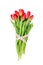 Bouquet of red tulips decorated with hearts ribbon. Isolated over white. Valentines Day concept