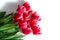 Bouquet of red tulips with shadow isolated on white background