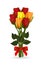 Bouquet of red, yellow and orange roses tied with a red ribbon with a realistic bow, isolated on white background.