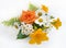 Bouquet of roses, chamomiles and daylilies. Flowers in a bouquet of country style on a white background.