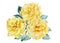 Bouquet of Roses on an isolated white background. Watercolor botanical illustration. Yellow flowers.