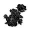 Bouquet of roses. Silhouette of black.