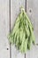 Bouquet of sage drying up