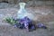 bouquet Salvia pratensis, meadow clary or meadow sage purple flowers near bottle of medicine on a concrete background. Collection