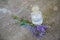 bouquet Salvia pratensis, meadow clary or meadow sage purple flowers near bottle of medicine on a concrete background top view.