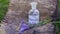 bouquet Salvia pratensis, meadow clary or meadow sage purple flowers near bottle of medicine on stump in forest on a background of