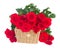 Bouquet of scarlet roses with basket