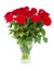 Bouquet of scarlet roses in vase