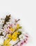 Bouquet of seasonal spring flowers. Sprigs of blossoming cherry, apricot, forsythia and muscari on a white background.