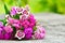 Bouquet of small carnations on a wooden background