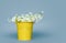 Bouquet of small spring flowers in small metal bucket of Illuminating yellow color on soft blue empty background. selective focus