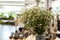 Bouquet of small white flowers in some vase stays in big interior space with unclear subjects in blurry background